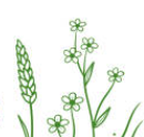 il giardino naturale